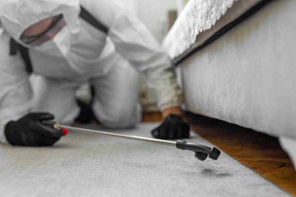 Professional Termite Control technician working in Ladysmith, WI