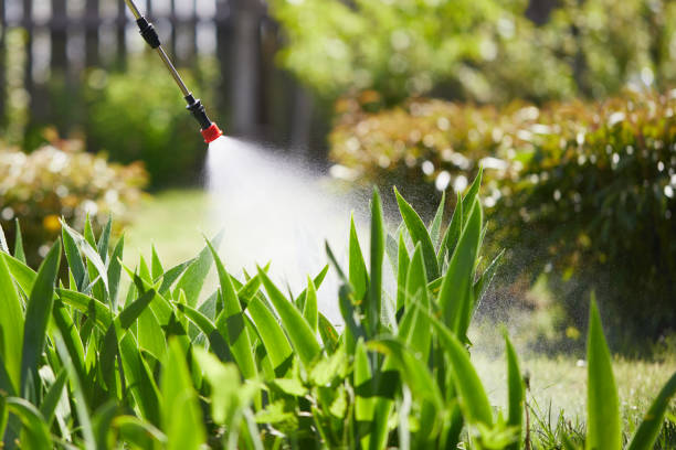 24/7 Emergency Termite Control experts in Ladysmith, WI