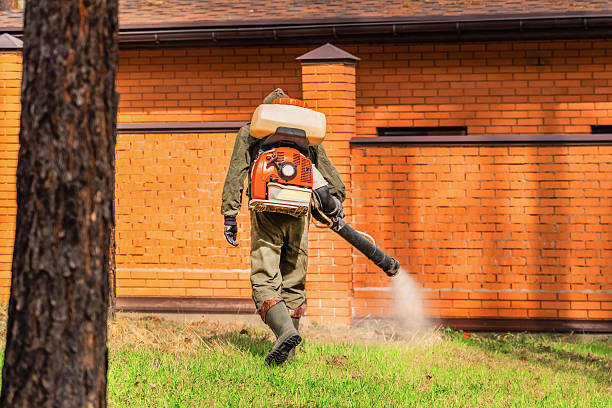 Top rated local Termite Control specialists in Ladysmith, WI